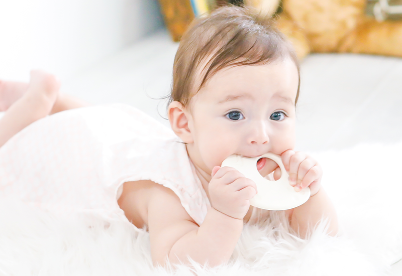 純国産お米のおもちゃシリーズ