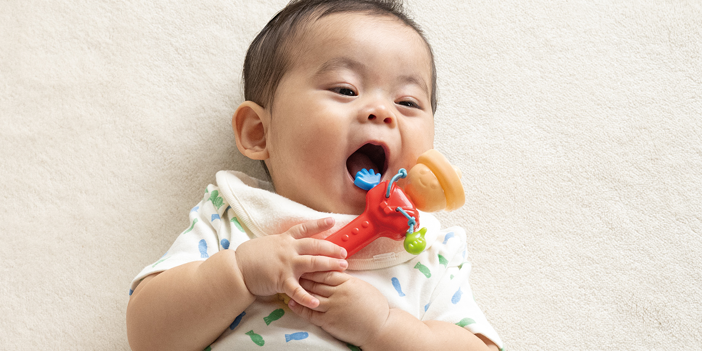 好奇心の世界へようこそ！