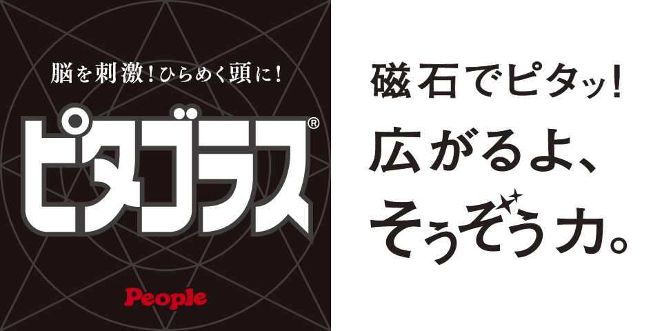 ピタゴラスシリーズ ピタゴラス ブロック おもちゃ 乳幼児玩具メーカー ピープル