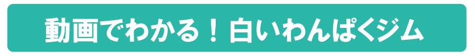 白いわんぱくジム | おもちゃ-室内遊具 | 乳幼児玩具メーカー・ピープル