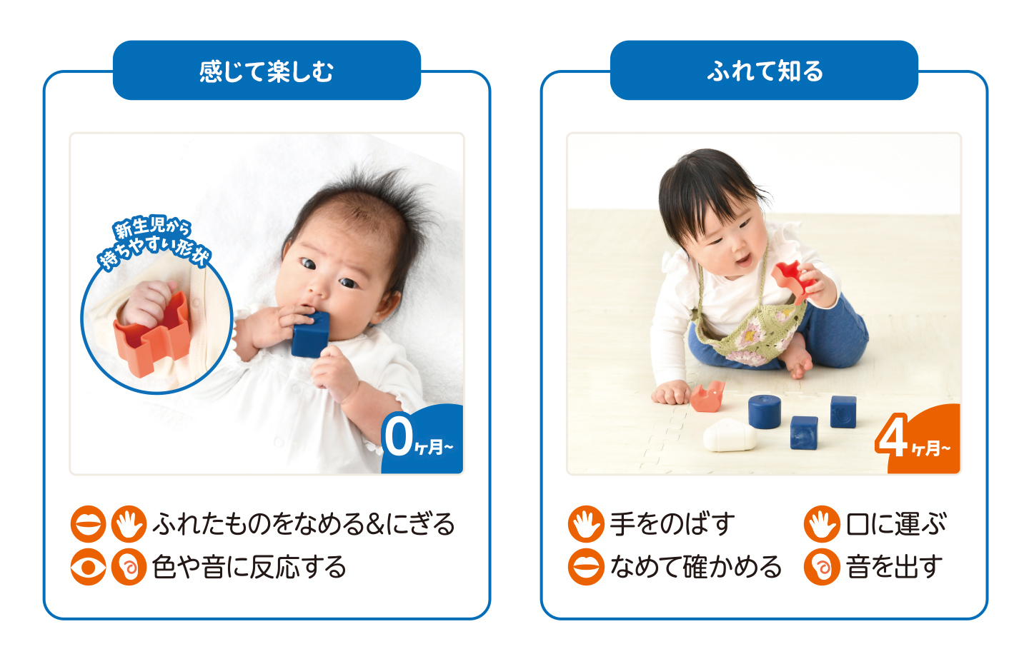 お米のおもちゃ めばえセット4
