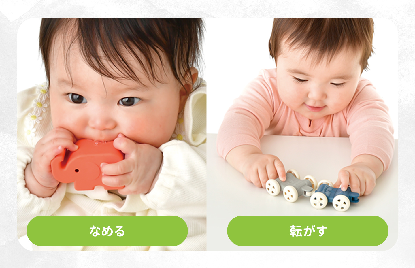 お米のどうぶつでんしゃセット4